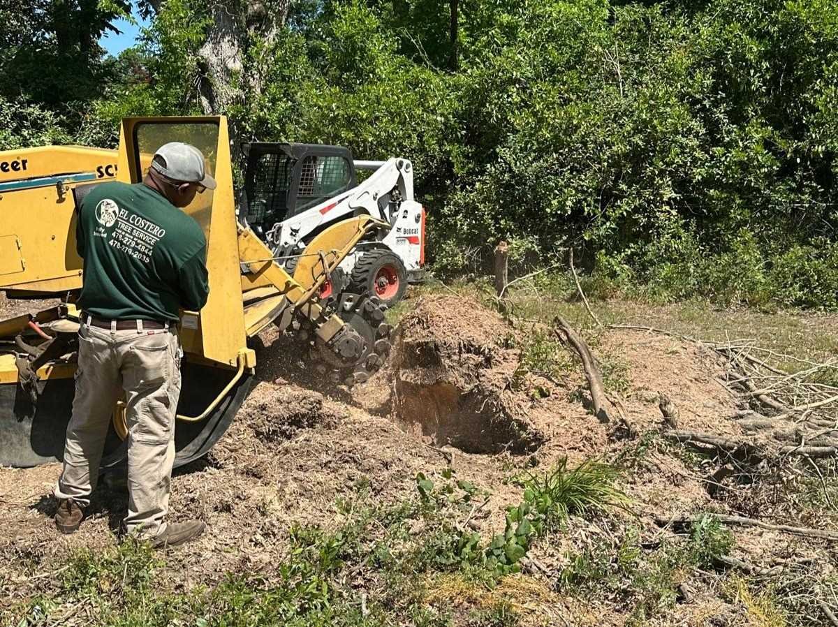 El Costeño Tree Service LLC